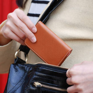 Wallet and Purses